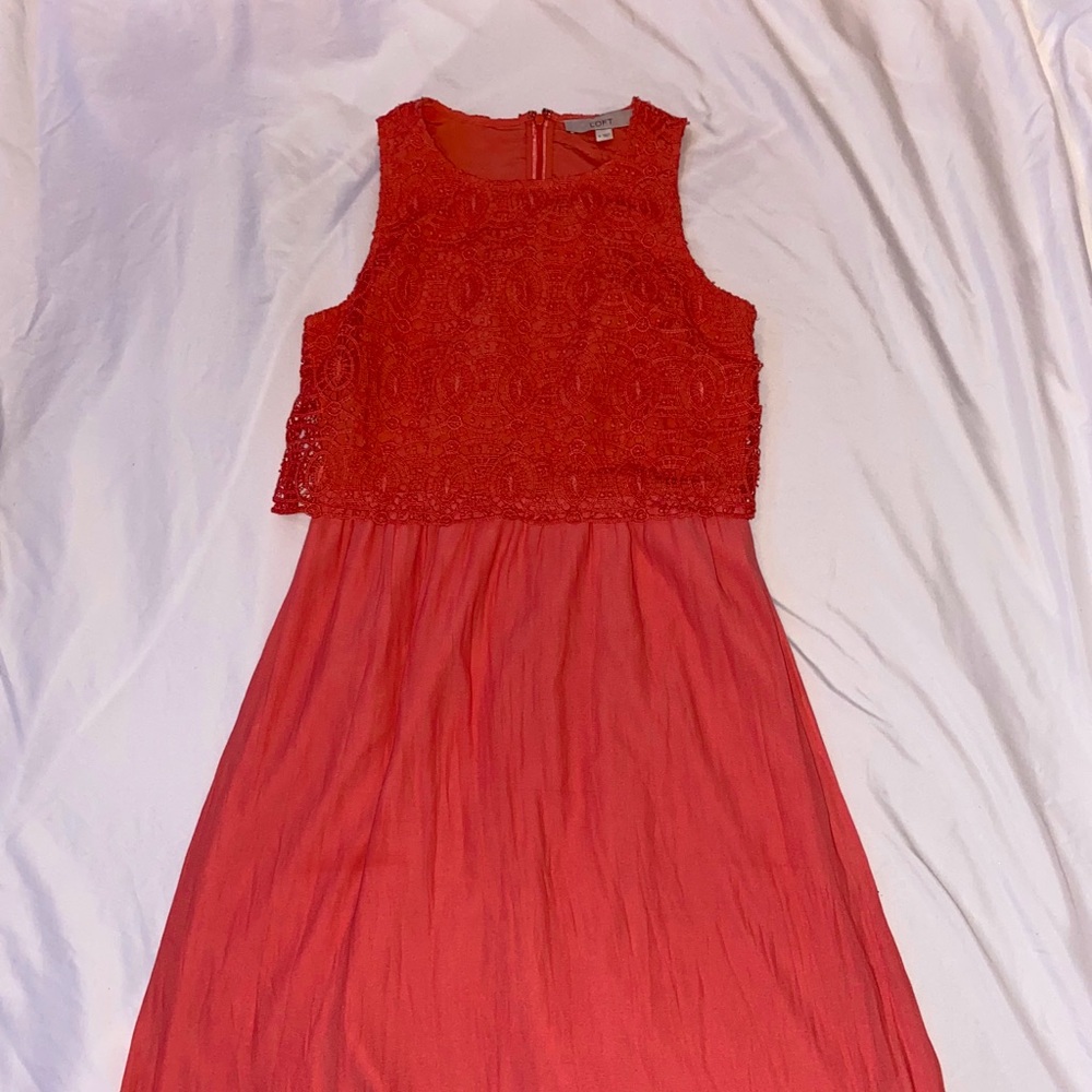 Bran New pin Loft dress